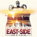 17758561_334226386975686_4349343868485665266_o